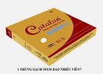 Hộp Giấy Đựng Gạch Men
