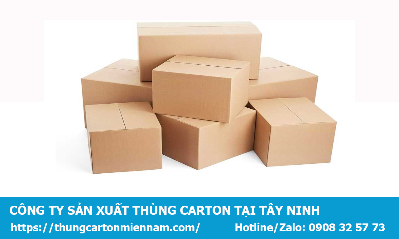 san-pham-thung-carton-tai-tay-ninh-1