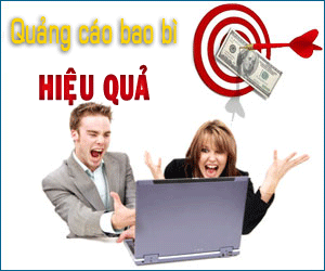 300x250_quangcaobaobi